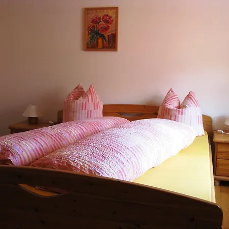 酒店 Pensiun Garni Plaz 2*