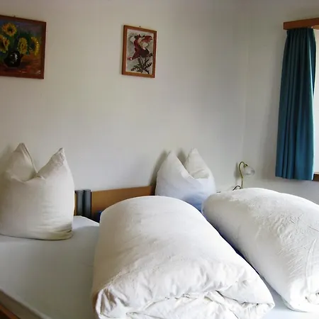 酒店 Pensiun Garni Plaz 2*